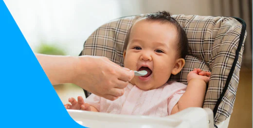 What foods to introduce first