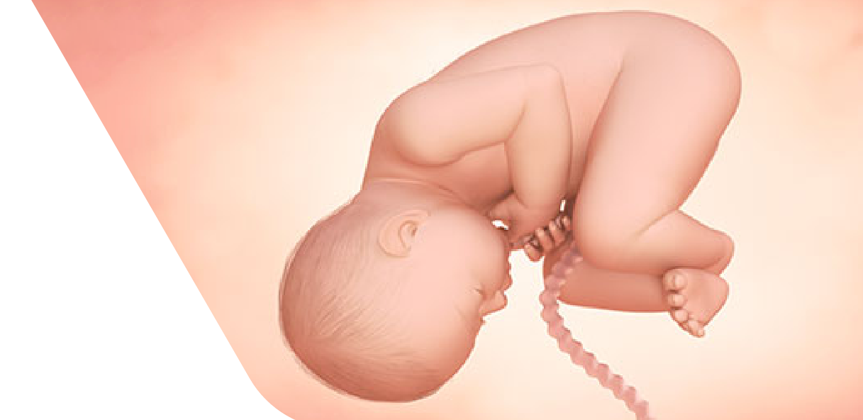 37 Weeks Pregnant