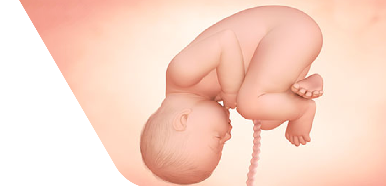 40 Weeks Pregnant