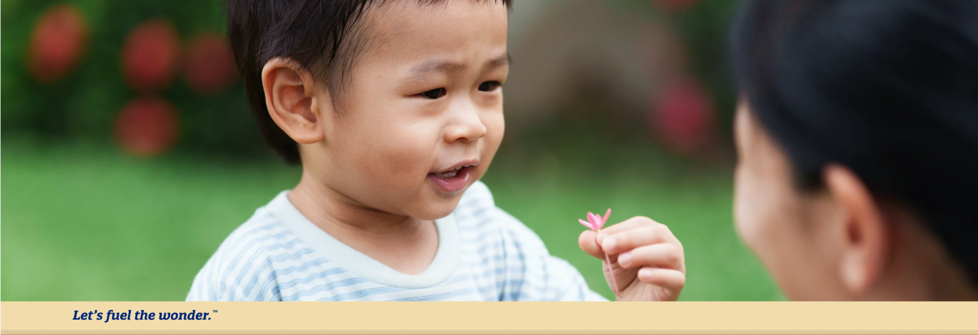 Young toddler outside looking at mother while holding a small  flower in their left hand