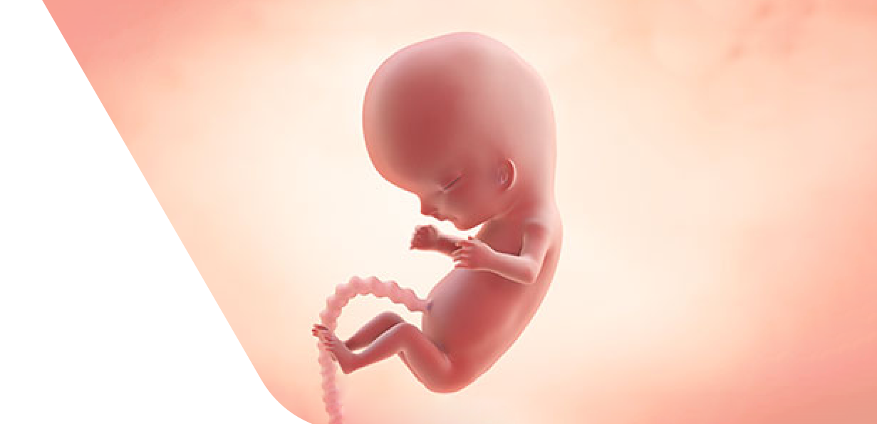 10 Weeks Pregnant
