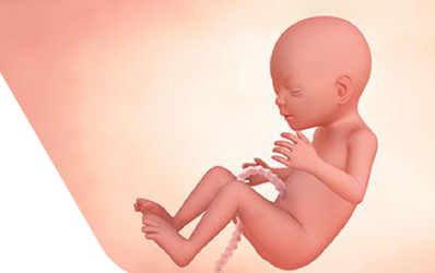Enceinte de dix-huit semaines