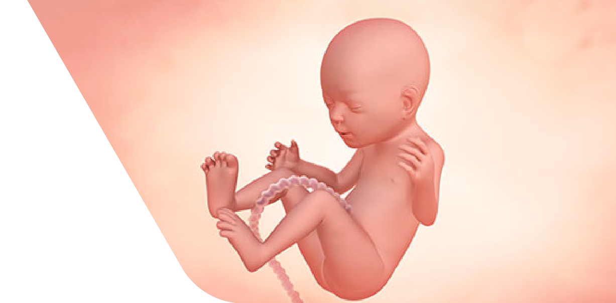 20 Weeks Pregnant