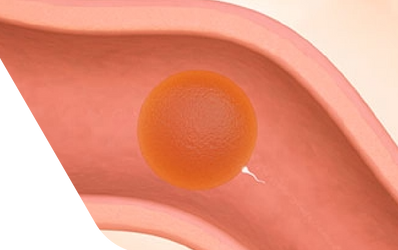 Enceinte de trois semaines