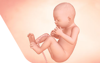 Enceinte de trente semaines