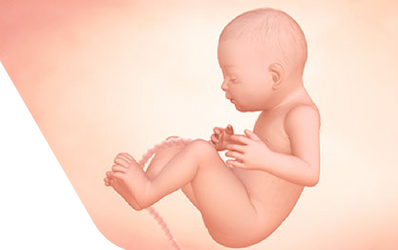 Enceinte de trente-et-une semaines