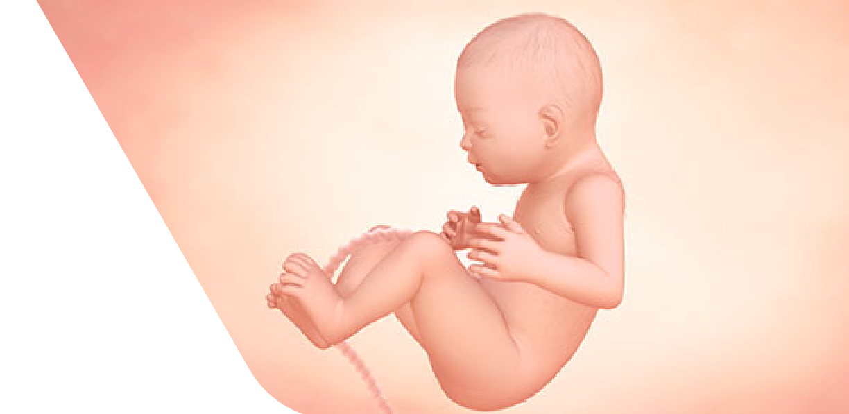 31 Weeks Pregnant