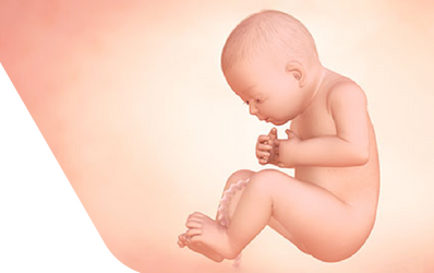 Enceinte de trente-trois semaines