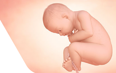 Enceinte de trente-six semaines