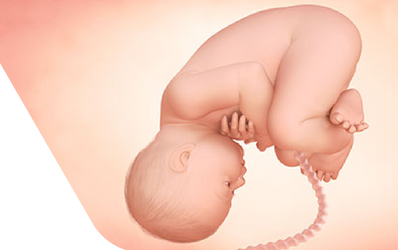 Enceinte de trente-neuf semaines