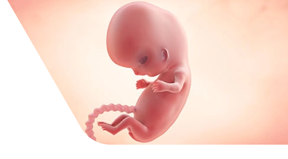 9 Weeks Pregnant