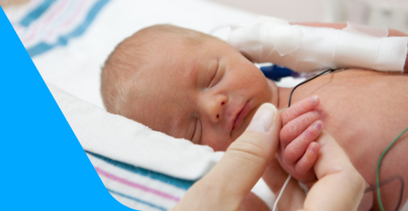 The Premature Baby Development Process