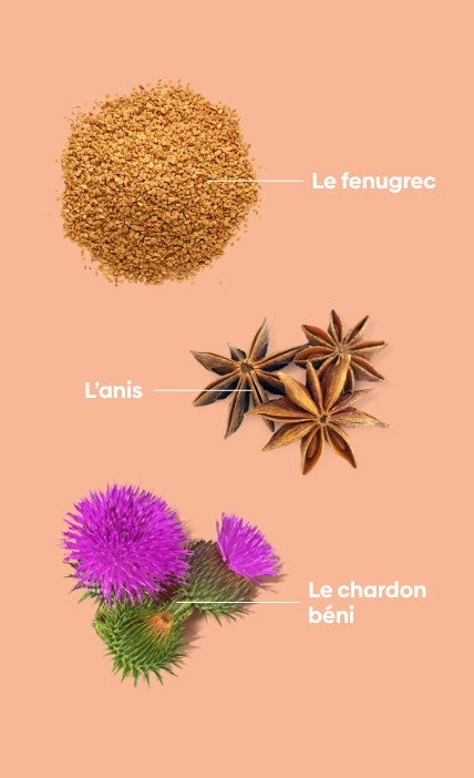 Depuis des siècles,