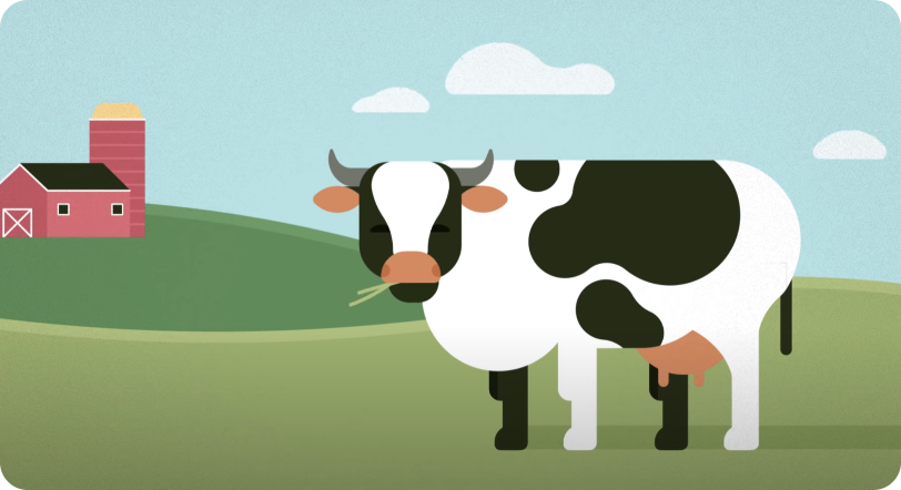 Charger la vidéo : milk-protein-allergy