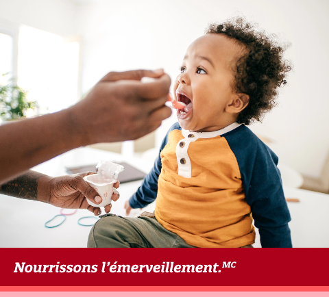12 à 18 mois