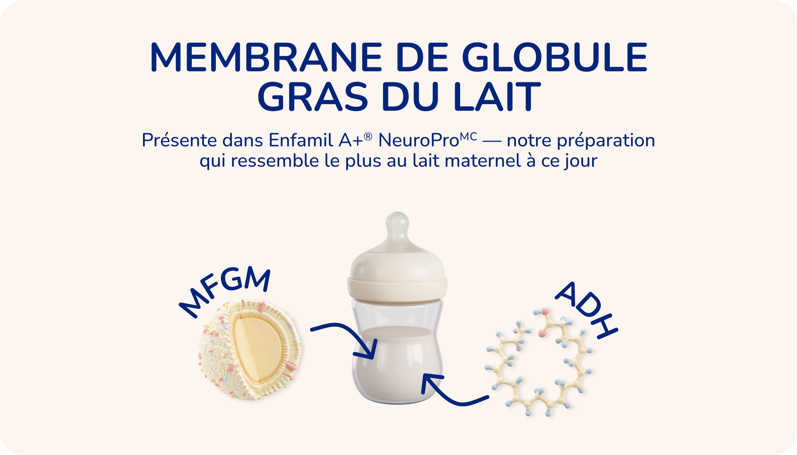 Charger la vidéo : What is MFGM?