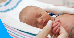The Premature Baby Development Process