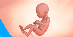 22 Weeks Pregnant
